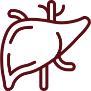 Liver Function